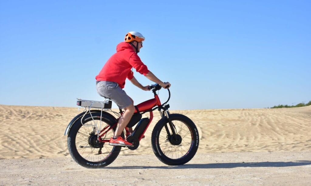 e-bike market share in India